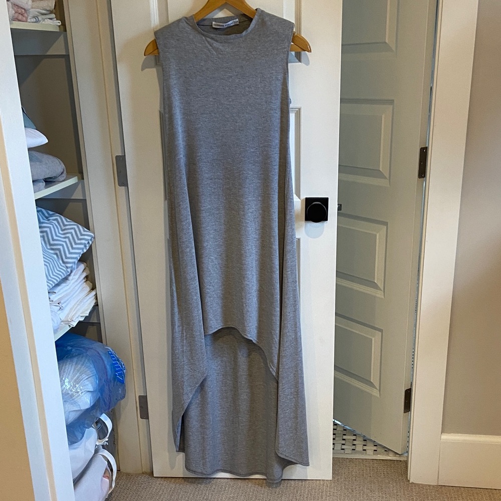 Sleeveless Gray Geannine Pollazzon Asymmetric Maxi Dress